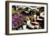 Sidewalk Spring II-Alan Hausenflock-Framed Photographic Print