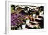 Sidewalk Spring II-Alan Hausenflock-Framed Photographic Print