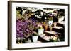 Sidewalk Spring II-Alan Hausenflock-Framed Photographic Print