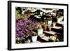 Sidewalk Spring II-Alan Hausenflock-Framed Photographic Print