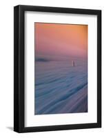 Sideways Salesforce Tower in Fog, San Francisco-Vincent James-Framed Photographic Print