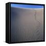 Sidewinder Tracks in Sand Dune-Micha Pawlitzki-Framed Stretched Canvas
