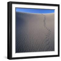 Sidewinder Tracks in Sand Dune-Micha Pawlitzki-Framed Premium Photographic Print