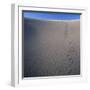 Sidewinder Tracks in Sand Dune-Micha Pawlitzki-Framed Premium Photographic Print