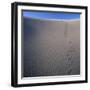 Sidewinder Tracks in Sand Dune-Micha Pawlitzki-Framed Photographic Print