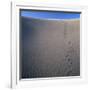 Sidewinder Tracks in Sand Dune-Micha Pawlitzki-Framed Photographic Print