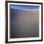 Sidewinder Tracks in Sand Dune-Micha Pawlitzki-Framed Photographic Print