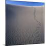 Sidewinder Tracks in Sand Dune-Micha Pawlitzki-Mounted Photographic Print