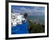 Sidi Bou Said, Near Tunis, Tunisia, North Africa, Africa-Ethel Davies-Framed Photographic Print