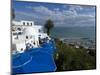 Sidi Bou Said, Near Tunis, Tunisia, North Africa, Africa-Ethel Davies-Mounted Photographic Print