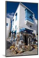 Sidi Bou Said, Near Tunis, Tunisia, North Africa, Africa-Ethel Davies-Mounted Photographic Print