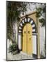 Sidi Bou Said, Tunisia, North Africa, Africa-Ethel Davies-Mounted Photographic Print