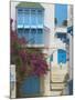 Sidi Bou Said, Tunisia, North Africa, Africa-Papadopoulos Sakis-Mounted Photographic Print