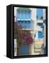 Sidi Bou Said, Tunisia, North Africa, Africa-Papadopoulos Sakis-Framed Stretched Canvas