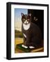 Sidney, 1993-Frances Broomfield-Framed Giclee Print