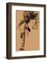 Sidney Bechet-Clifford Faust-Framed Giclee Print