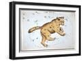 Black Frame
