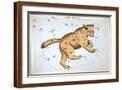 Brown Frame