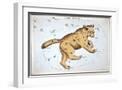 White Frame