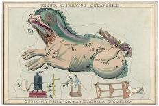 Cetus (Sea Monster) and Chemical Factory and Electrical Machinery Constellation-Sidney Hall-Art Print