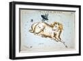 Black Frame
