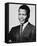 Sidney Poitier-null-Framed Stretched Canvas