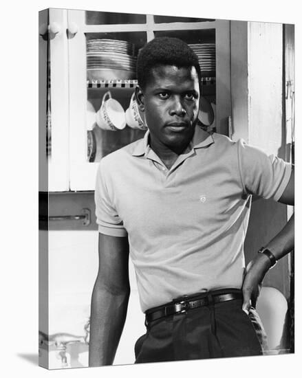 Sidney Poitier-null-Stretched Canvas