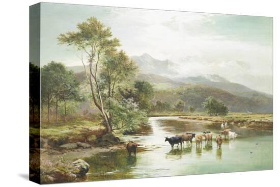 Stretched Canvas Print, , large
