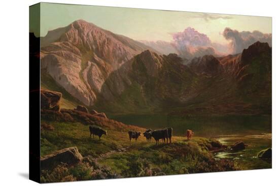 Stretched Canvas Print, , large