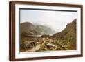 Brown Frame