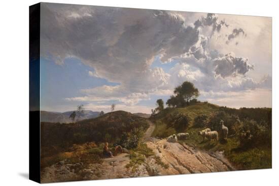 Stretched Canvas Print, , large
