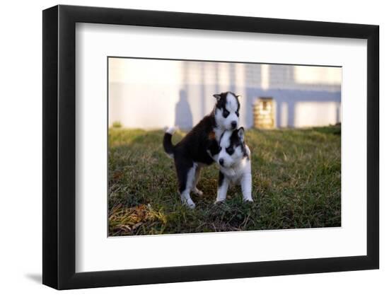 Premium Photographic Print, , large