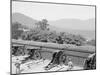 Siege Battery Drill, Firing, United States Military Academy, West Point, N.Y.-null-Mounted Photo