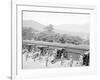 Siege Battery Drill, Sponging after Firing, United States Military Academy, West Point, N.Y.-null-Framed Photo