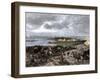 Siege of Charleston, South Carolina, by the British during the American Revolution-null-Framed Giclee Print