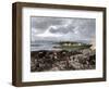 Siege of Charleston, South Carolina, by the British during the American Revolution-null-Framed Giclee Print