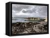 Siege of Charleston, South Carolina, by the British during the American Revolution-null-Framed Stretched Canvas