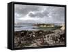 Siege of Charleston, South Carolina, by the British during the American Revolution-null-Framed Stretched Canvas