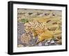 Sieges of Missolonghi and the Death of Lord Byron in 1824 from the Greek War of Independence-null-Framed Giclee Print