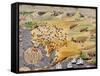 Sieges of Missolonghi and the Death of Lord Byron in 1824 from the Greek War of Independence-null-Framed Stretched Canvas