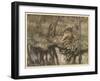 Siegfried Sees Himself-Arthur Rackham-Framed Art Print