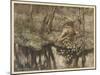 Siegfried Sees Himself-Arthur Rackham-Mounted Art Print