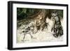 Siegfried-Arthur Rackham-Framed Giclee Print