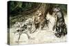 Siegfried-Arthur Rackham-Stretched Canvas