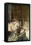 Siegfried-Arthur Rackham-Framed Stretched Canvas