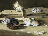 Kittens at Play-Siegwald Dahl-Laminated Giclee Print