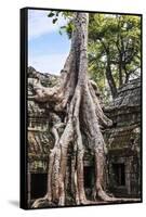 Siem Reap, Cambodia. Giant trees and roots overgrow the ancient ruins and towers of Ta Prohm Temple-Miva Stock-Framed Stretched Canvas