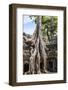 Siem Reap, Cambodia. Giant trees and roots overgrow the ancient ruins and towers of Ta Prohm Temple-Miva Stock-Framed Photographic Print