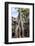 Siem Reap, Cambodia. Giant trees and roots overgrow the ancient ruins and towers of Ta Prohm Temple-Miva Stock-Framed Photographic Print