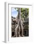 Siem Reap, Cambodia. Giant trees and roots overgrow the ancient ruins and towers of Ta Prohm Temple-Miva Stock-Framed Photographic Print